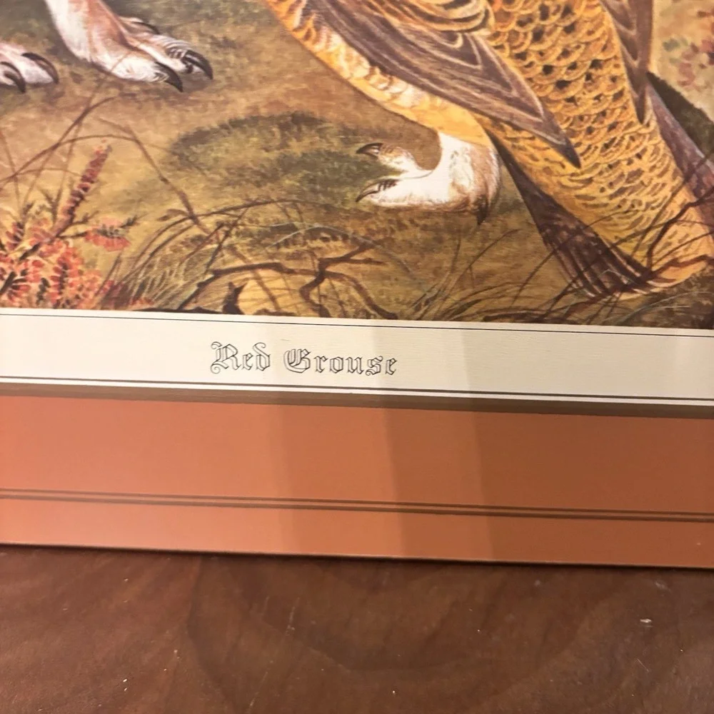 Vintage Pimpernel Red Grouse Cork Back Placemats Set‎ of 4 Wildlife Bird